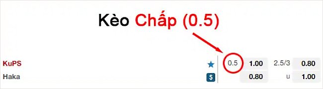 Kèo chấp nửa trái (0.5)