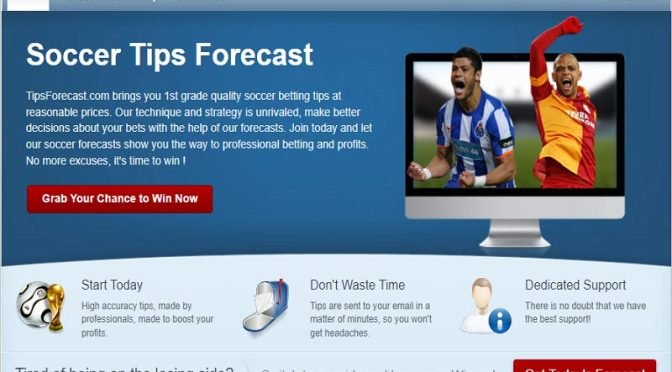 Tìm hiểu về trang tips bóng đá Tipsforecast.com